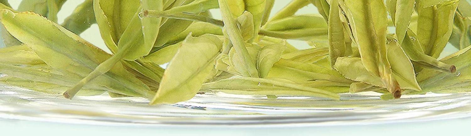 【中国直邮】 狮峰茶叶 2025新茶安吉珍鲜安吉白茶 明前特级白茶叶口粮珍稀绿茶春茶 100g/包