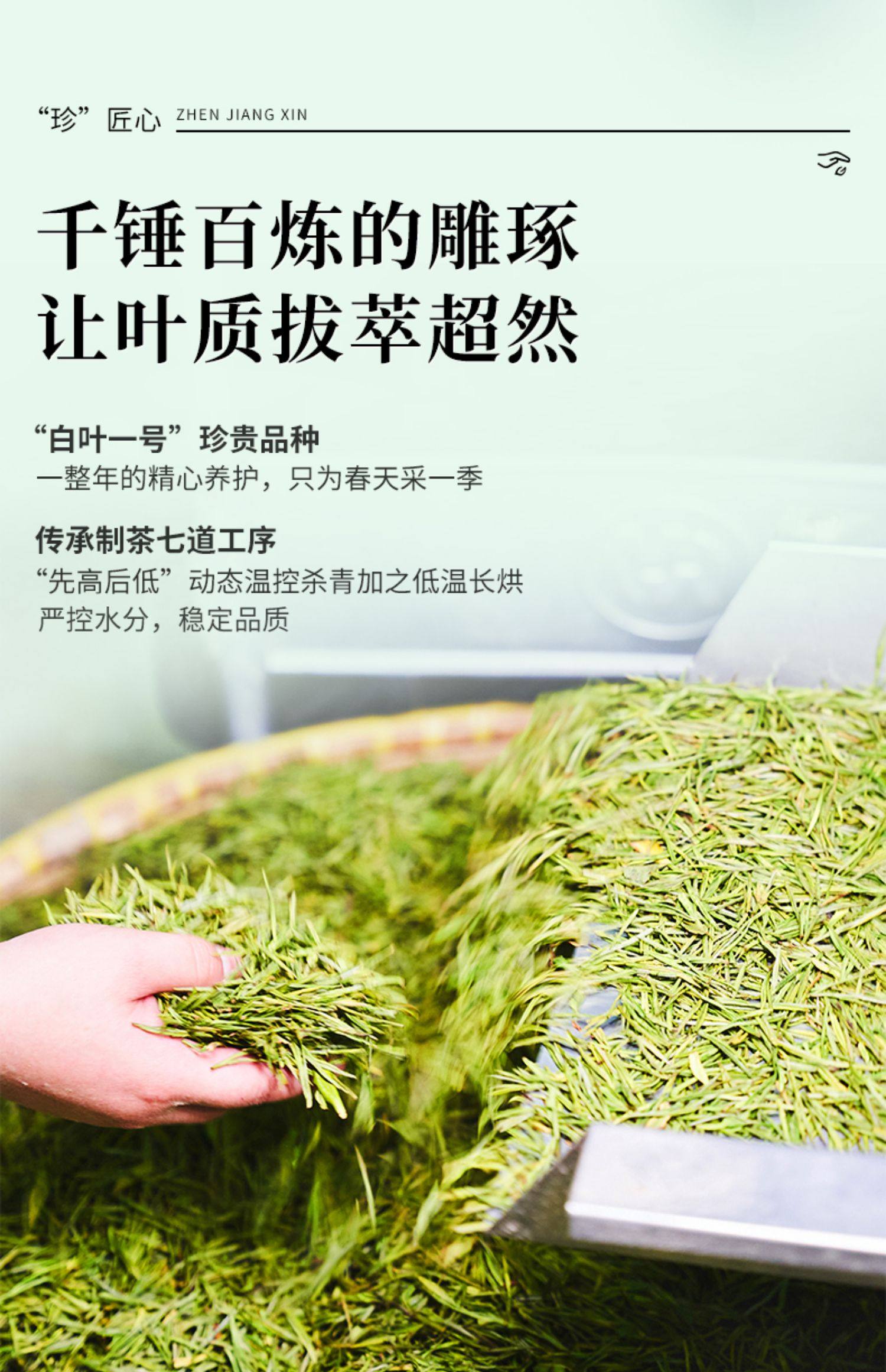 【中国直邮】 狮峰茶叶 2025新茶安吉珍鲜安吉白茶 明前特级白茶叶口粮珍稀绿茶春茶 100g/包