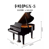 GX-5 【Kawai】