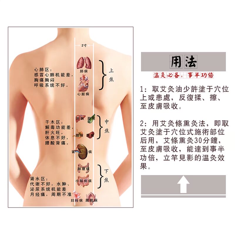 [120ml * 6 chai dầu moxib Fir] dầu cấu hình moxib Fir Dầu lá gừng AI dầu hạt ô liu Dầu hạt moxib Fir - Tinh dầu điều trị tinh dầu bưởi mọc tóc