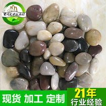 Boutique Pluie colorée Florite Colle de poissons Pond Stone High Polished Rain Flowers Stone Cobblestone Massage Stone Garden Decoration Pierres