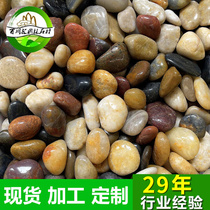 Colorful Yuhua Stone Fine Pebbles Colored Pavement Stone Landscape Decoration Stone Fish Pond Tree Head Decoration Stone Massage Stone