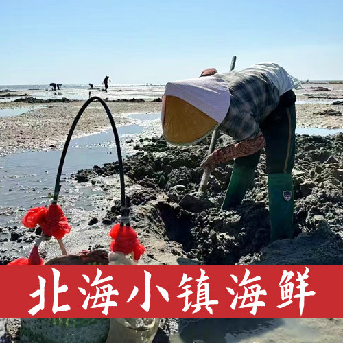 北海小镇海鲜优选
