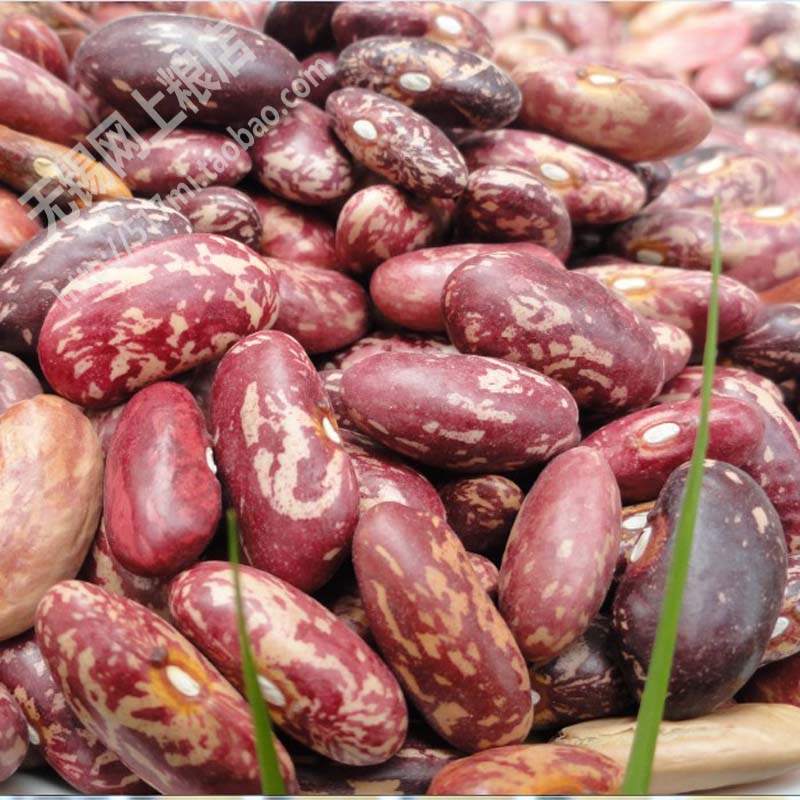 20 years of new high-quality red kidney beans 500g flower kidney beans (eat more grains for good health) Wuxi online grain store