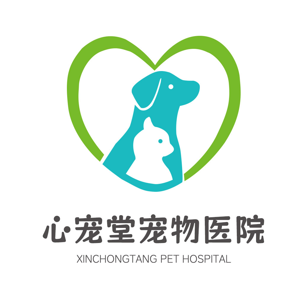 新宠堂宠物