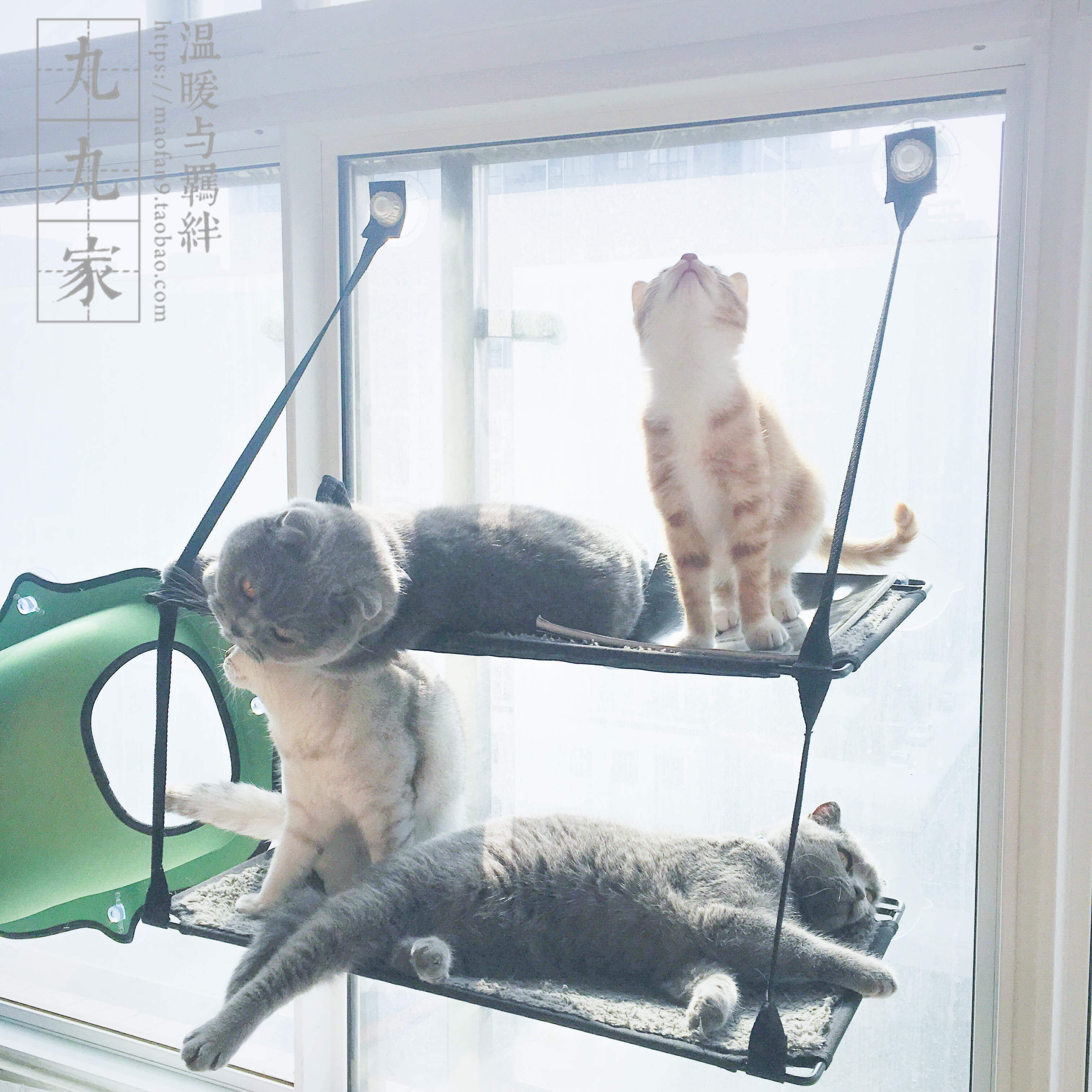 Wanwan home ultra-firm cat hammock nest window sill imported glass saves space basking in the sun US kH cat mat