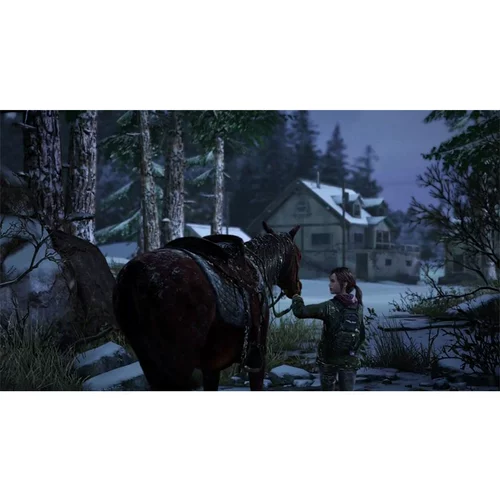 PS4 использовал Games American Summesday Reset Версия оставшего