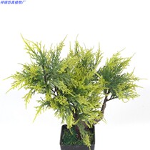 Simulation of green plants and landscaping pine trees cliffs pine leaves pine branches lateral cypress leaves indoor decoration sales