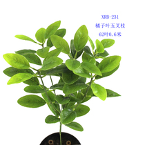 New product simulation green planting loquat leaves Orange 5 fork branches orange leaves fruit vegetables beans green vegetables reeds home decoration