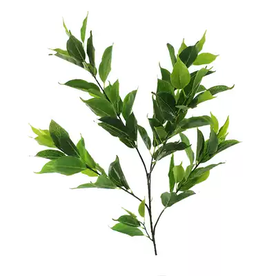 New product simulation camphor leaves mini small potted table pendulum bonsai green plant screen decoration factory direct sales