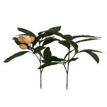 New product simulation green plant loquat leaf 3 fork branch Reed orange loquat fruit vegetable bean green vegetable Reed branch home decoration
