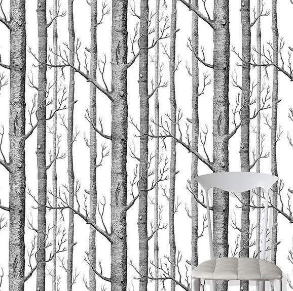 Spot Cornson UK Imports Wallpaper Modern Brief Black and White Grey White Birch Wallpaper Unwoven Paper