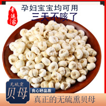 Sichuan Bei Chinese herbal medicine Fritillaria Fritillaria Fritillaria Fritillaria Fritillaria Fritillaria 500g g