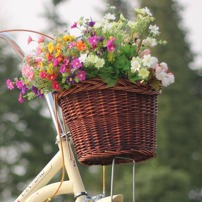 Panier pour vélo - Ref 2257458 Image 7