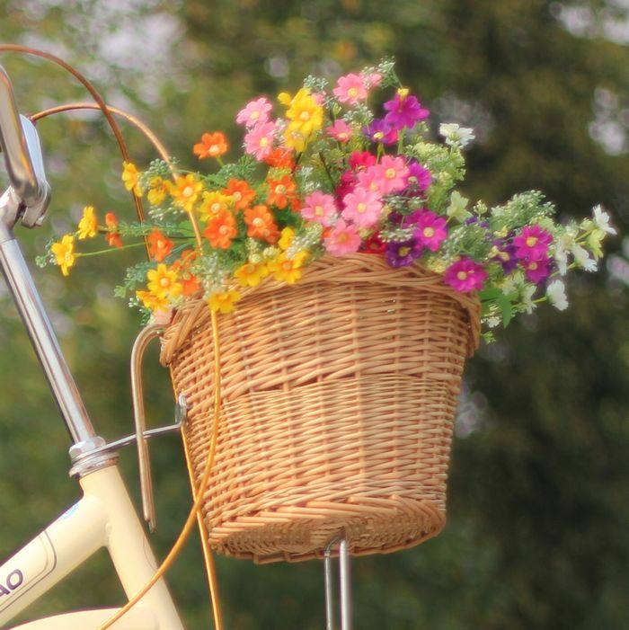 Panier pour vélo - Ref 2257458 Image 8