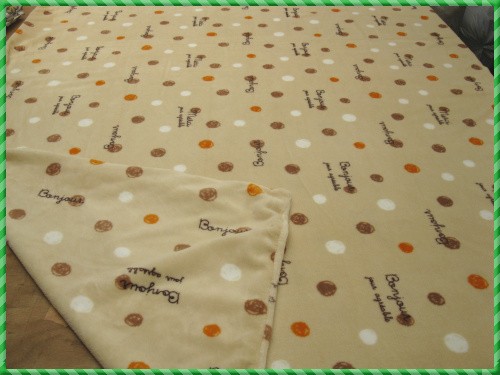 Foreign trade Japanese-style plant coral fleece winter polyester fiber warm flannel single quilt cover student quilt cover