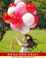 [100] Dahong+Light Rose Red+White