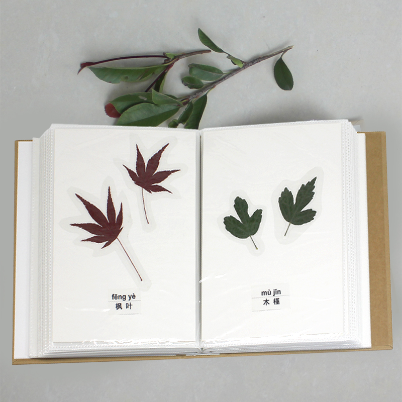 Pawnflower Photo Book Handcrafted Dry Flower Embossing Plastic Film made of plant specimens to make specimen plants collection of leaves