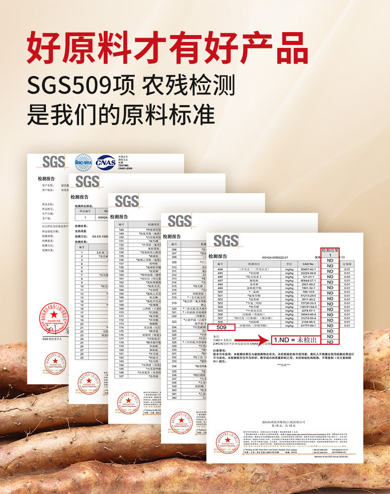 【中国直邮】 固本堂 铁棍山药粉 正宗纯养怀淮山药胃河南焦作温县垆土 500g/罐