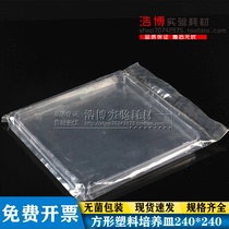 Disposable plastic petri dish square 240 * 240mm large capacity culture sterilized single independent packaging