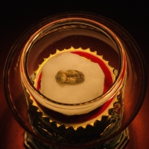  Master Zongkhabas son opened the tower the size of which is about 12mm for the relic pagoda Gawu