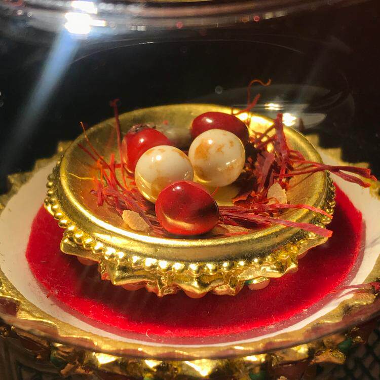 Shōten's Protector Vajra Sturdy Son 10 mm for the Sherita Gawu box