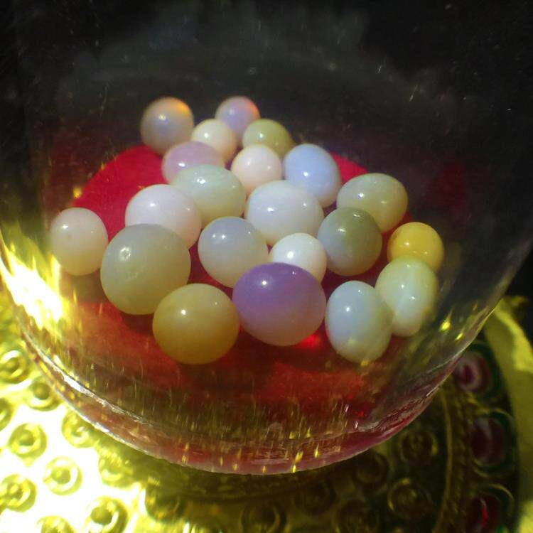 Sakyamuni Vernaugh robust son 4 mm for the Sherlita Gau Box 12 years old shop