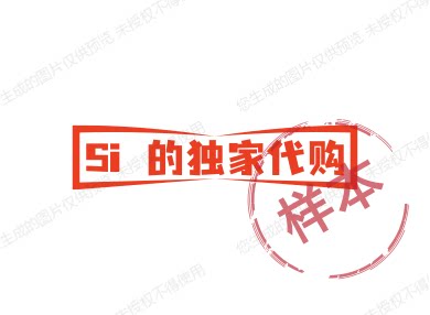 Si 的独家代购的LOGO