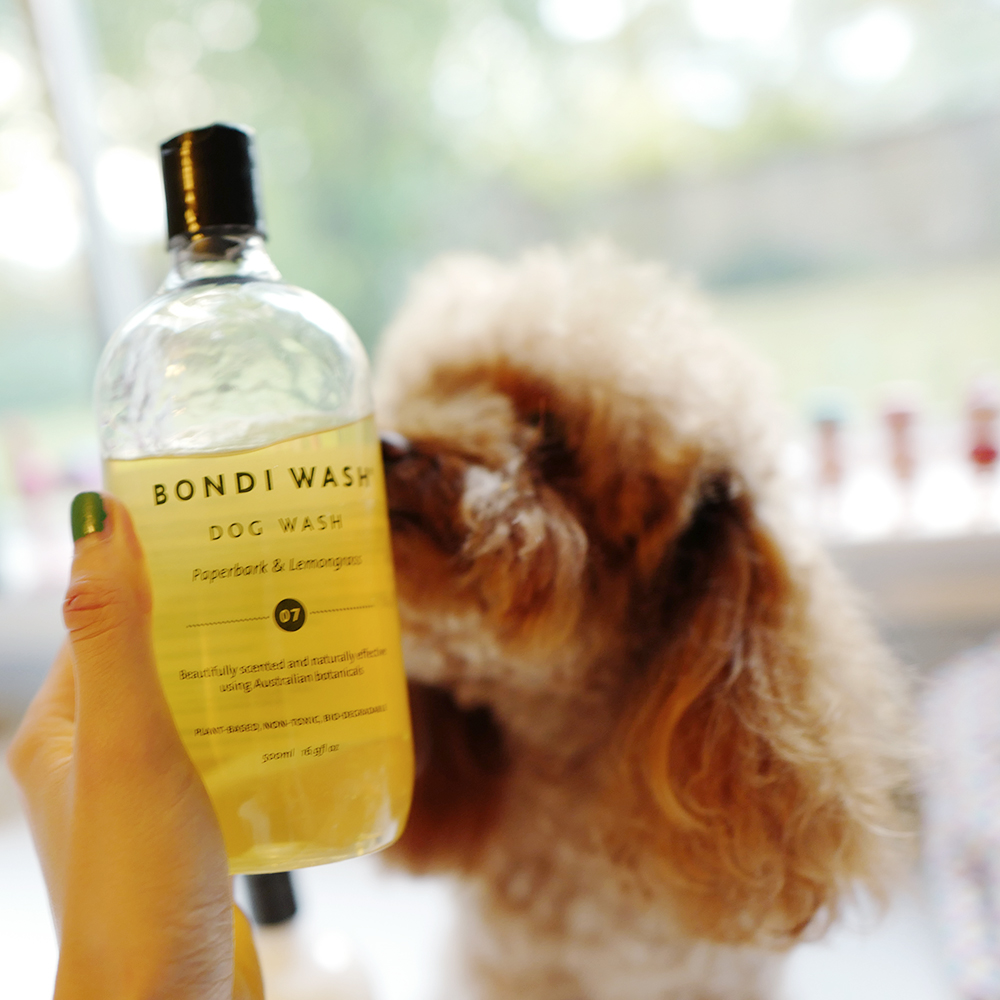 Bondi Wash Pet Hair Cleansing Liquid Shampoo shampoo 500ml All pets available 