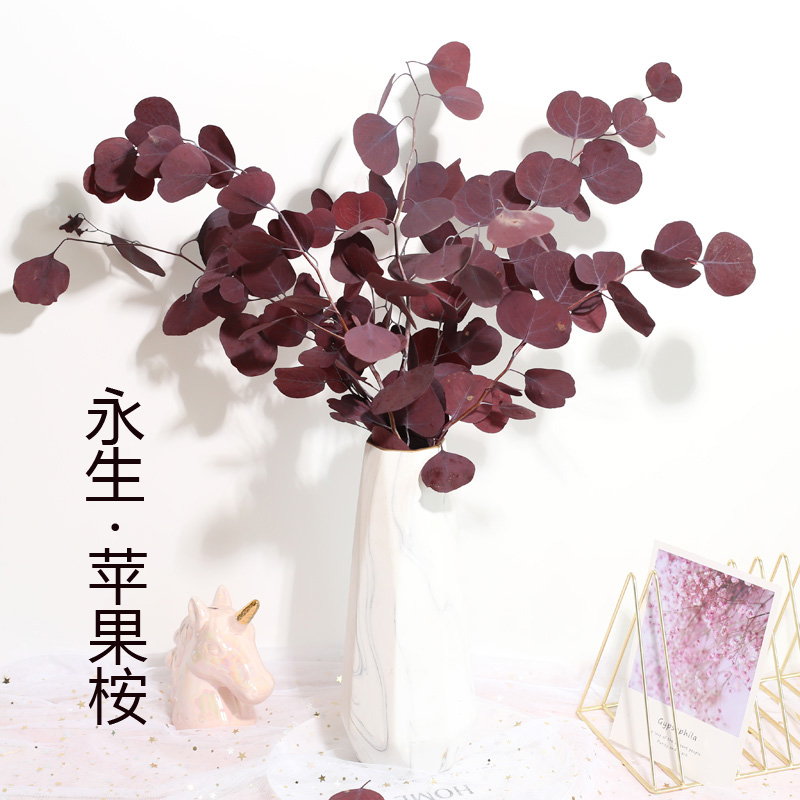 Import ins Nordic Yongsheng Yugali leaf round leaves apple eucalyptus dried flower bouquet drawing room decoration pendulum