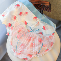 Couple underwear couples passionate sexy pair set cotton crotch men and women cute lure lace triangle underwear