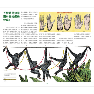【7-10岁 】园长带你逛动物园 在动物园散步才是正经事 亨宁维斯纳 著 趣味认知 玩酷科普 中信出版社童书 精品绘本