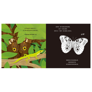 【3-6岁】手电筒看里面科普透视绘本 动物伪装术 卡伦布朗 著 透视互动科普绘本 中信出版社童书 正版书籍