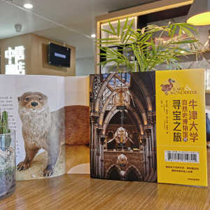 【赠明信片】牛津大学自然史博物馆的寻宝之旅 凯特迪思顿 著 奇妙博物馆 博物百科生命之旅 中信出版社