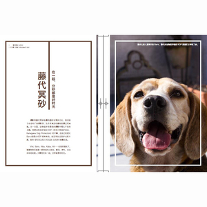 知日11：犬 第二版 苏静 著 满载义气与感动的日本犬物语 中信出版社图书 畅销书 正版书籍