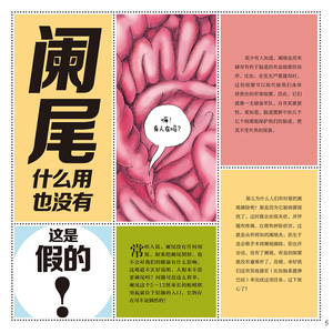 这一定不是真的 奇趣人体百科 热拉尔多泰尔