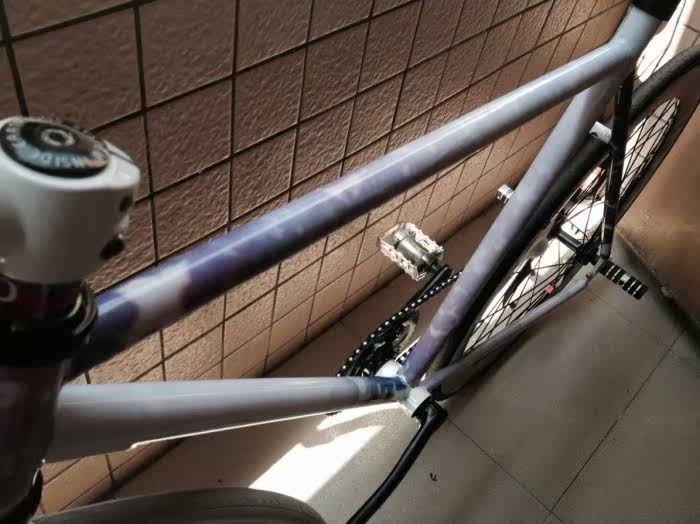 Sticker pour vélos - Ref 2286494 Image 14