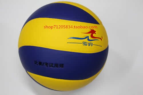 Ballon de volley - Ref 2011156 Image 10