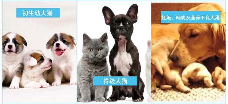 Blue Wave Wan Yang Sữa bột Swiss Saanen Sữa dê Bột 300g Pet Pupgie Cat Race Sữa bột dinh dưỡng - Cat / Dog Health bổ sung