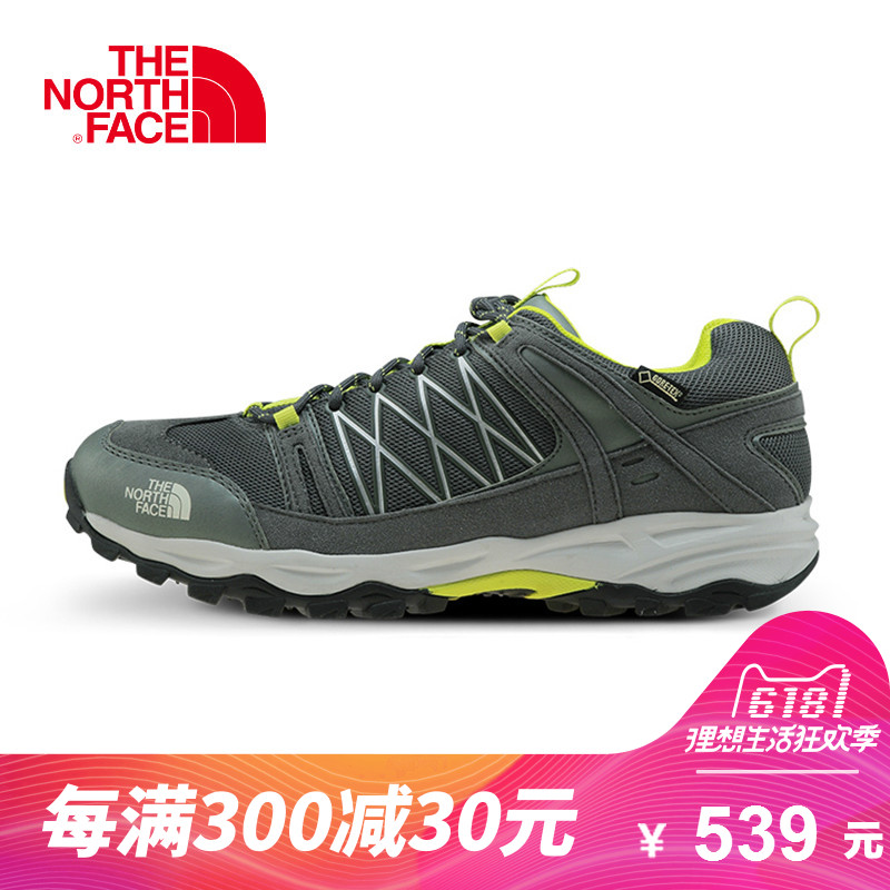 north face alteo gtx