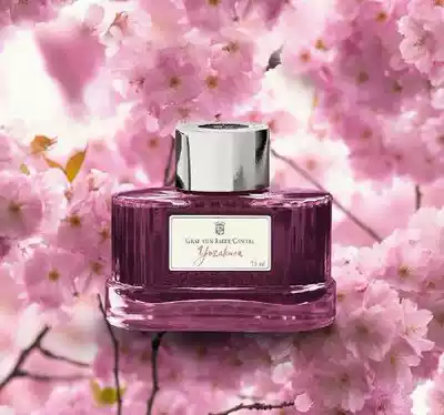 German Huibojia Earl Pen Ink Exquisite Bottled Natural Dye Ink 75ml does not block the pen does not hurt the pen