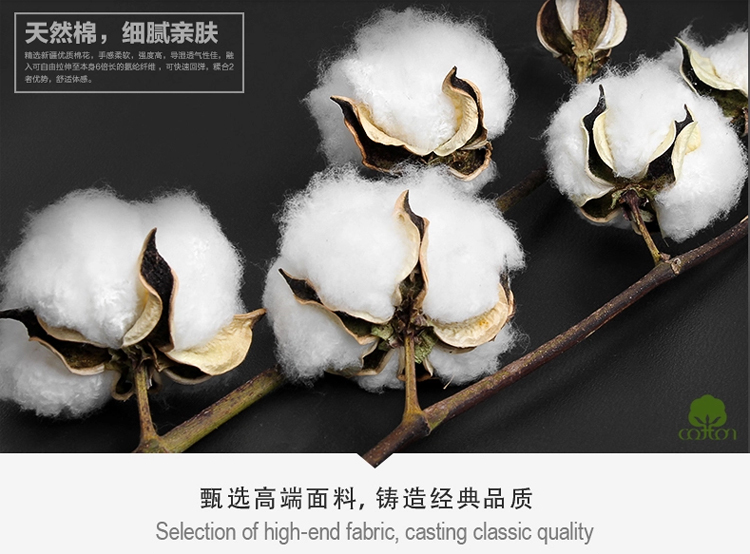 Pantalon collant Moyen-âge en coton - Ref 763616 Image 3