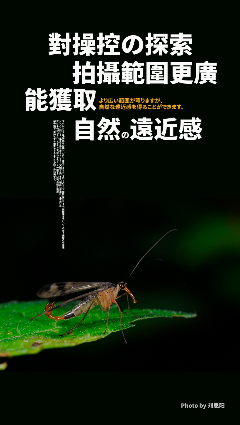 [Cửa hàng hàng đầu] Tamron 90mm F / 2.8MACRO1: 1 macro vẫn còn hoa và cây ống kính Portrait 272E SLR