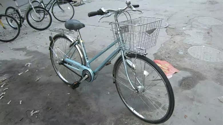 Panier pour vélo en métal - Ref 2263066 Image 13