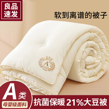 Soybean Fiber Quilt Core, Suitable for All Seasons, Spring and Autumn Quilt, 2025 New Model, Single Student Dormitory Quilt, Thick Winter Quilt