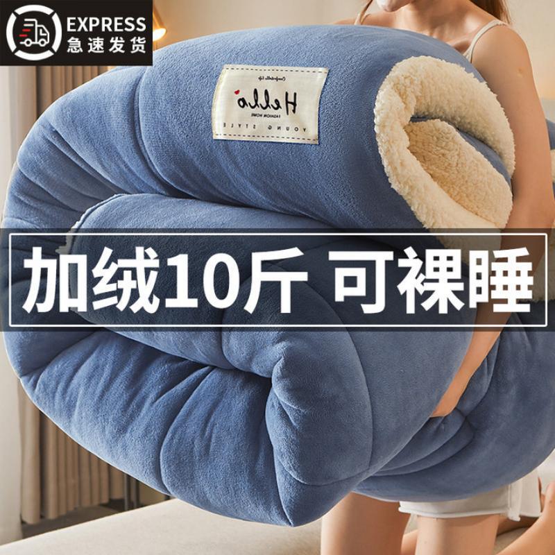 Lamb Wool Quilt 2025 New Model Winter Cotton Quilt Core Single Dormitory Autumn and Winter Quilt Thickened for Warmth 5kg