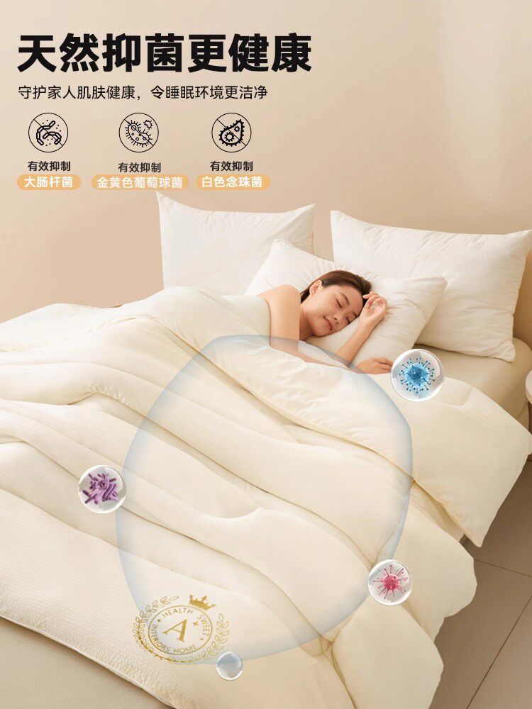 Soybean Fiber Quilt Core, Suitable for All Seasons, Spring and Autumn Quilt, 2025 New Model, Single Student Dormitory Quilt, Thick Winter Quilt