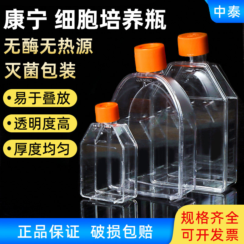 康宁CORNING细胞培养瓶25 75 cm正方透气盖430639 430641斜口细胞