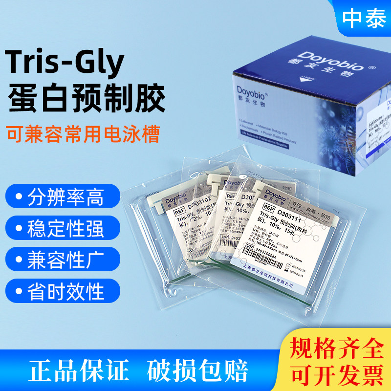 western blot 蛋白预制胶电泳蛋白胶Tris-Gly体系梯度胶 塑料板型