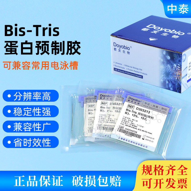 western blot 蛋白预制胶 Bis-Tris MOPS体系梯度胶 塑料板型